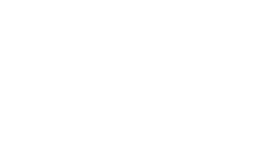De Cort Tour Experience